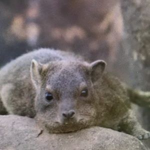 Meet your Posher, Ethan